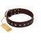 "Kingly Grace" FDT Artisan Brown Leather Dog Collar with Silver-like Dotted Studs