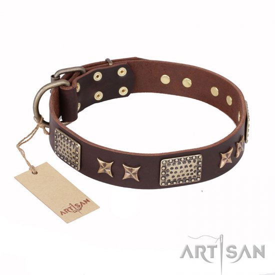 ‘Sparkling Bronze’ FDT Artisan Genuine Leather Dog Collar with Bronze Look Stars and Plates - 1 1/2 inch (40 mm) wide - Click Image to Close