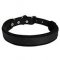 Padded Leather Dog Collar for Agitation Training 1 inch (2.5cm) width