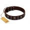 "Menacing Allure" FDT Artisan Brown Leather Dog Collar Embellished with Silvery Crossbones and Square Studs