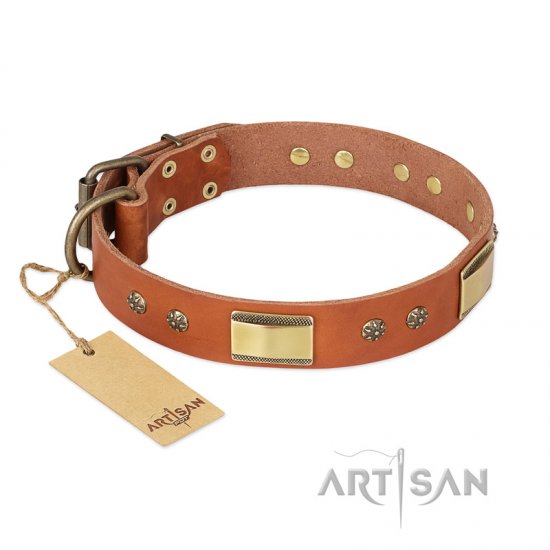 'Enchanting Spectacle' FDT Artisan Tan Leather Dog Collar with Old Bronze Look Plates and Round Studs - 1 1/2 inch (40 mm) wide - Click Image to Close