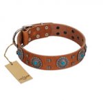 "Blue Sands" FDT Artisan Tan Leather Dog Collar with Silver-like Studs and Round Conchos with Stones