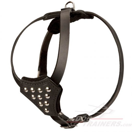 Designer Leather Dog Harness with Adjustable Straps for Puppy Walking and Training