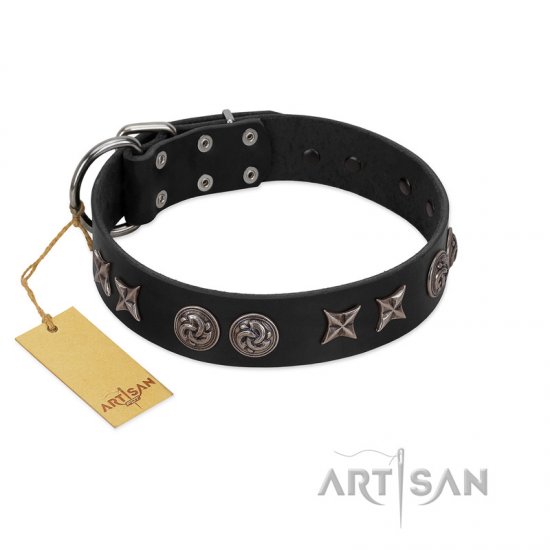 "Сentury Silver" Designer Handmade FDT Artisan Black Leather Dog Collar - Click Image to Close