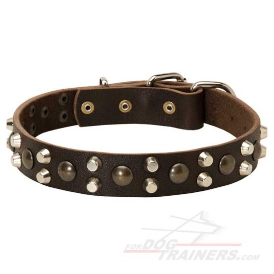 Custom Leather Dog Collar with Pyramids and Studs