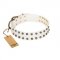 "Crystal Night" FDT Artisan White Leather Dog Collar with Two Rows of Small Studs