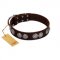 "High and Mighty" FDT Artisan Classy Brown Leather Dog Collar with Embellished Brooches