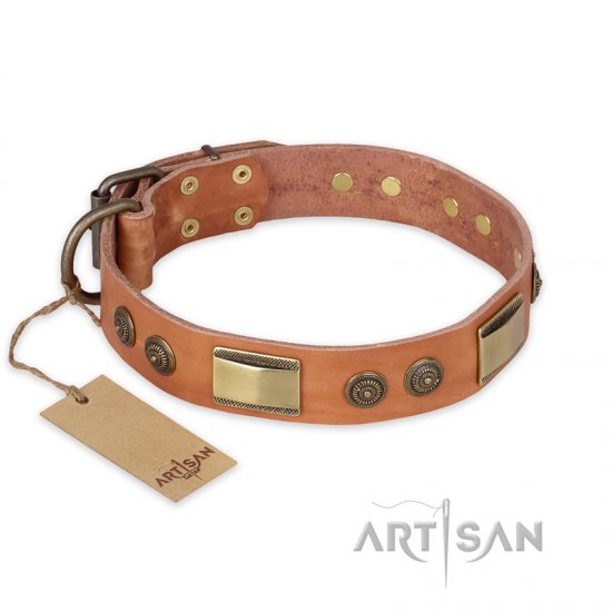 'Lost Desert' FDT Artisan Leather Dog Collar with Brass Decorations - 1 1/2 inch (40mm) wide - Click Image to Close