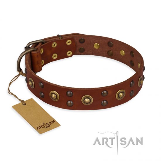 'Unfailing Charm' FDT Artisan Studded Tan Leather Dog Collar - Click Image to Close