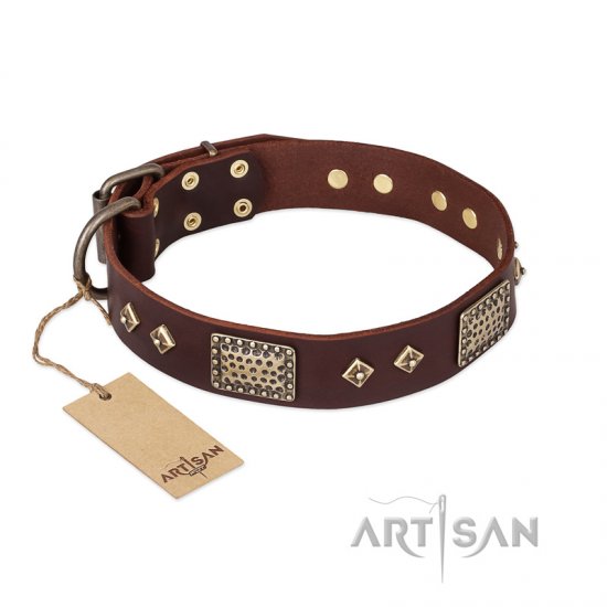 FDT Artisan 'Loving Owner' Decorated Leather Dog Collar with Plates and Studs 1 1/2 inch (40 mm)