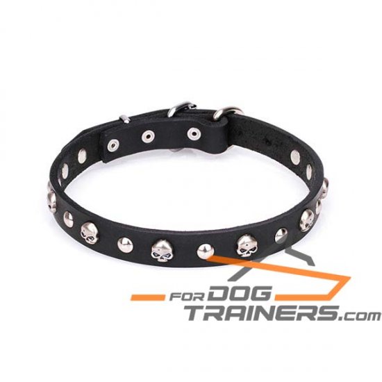 'Gothic Inspiration' Leather Dog Collar with Skulls and Half-sphere Studs - Click Image to Close