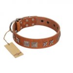 "Antique Figures" FDT Artisan Tan Leather Dog Collar with Silver-like Engraved Plates