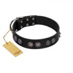 "Silver Medallions" Mod FDT Artisan Black Leather Dog Collar with Round Plates