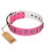 "Treasure Island" FDT Artisan Pink Leather Dog Collar with Silver-Like Studs