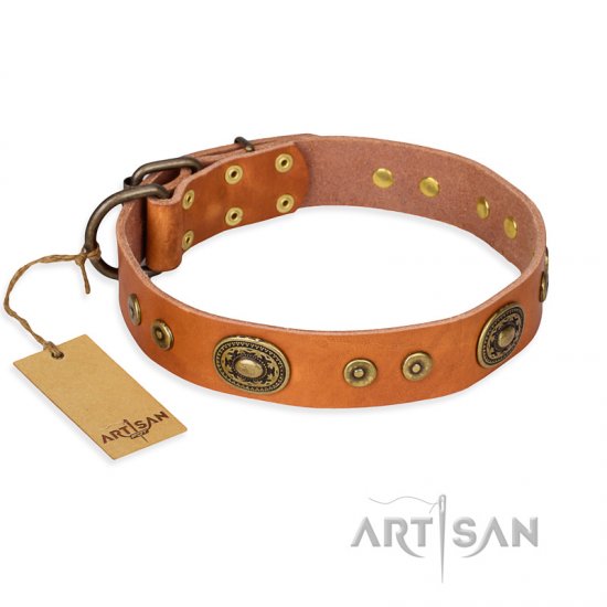 ‘Dandy Pet’ FDT Artisan Handcrafted Tan Leather Dog Collar - Click Image to Close