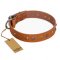 ‘Golden’n’Silver Luxury’ FDT Artisan Leather Dog Collar with Engraved Studs 1 1/2 inch (40 mm) Wide