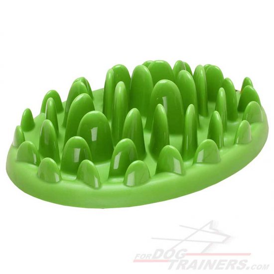 "Green Lawn" Interactive Slow Dog Feeder - Click Image to Close