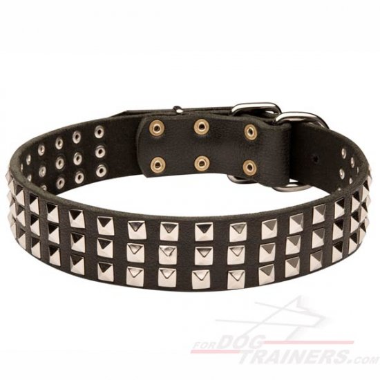 Wide Leather Dog Collar with 3 Rows of Nickel-plated Pyramids