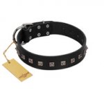 "Natural Beauty" Premium Quality FDT Artisan Black Designer Dog Collar with Dotted Studs