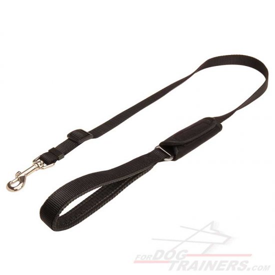 Safe-&-Sound Car Trip Nylon Dog Leash