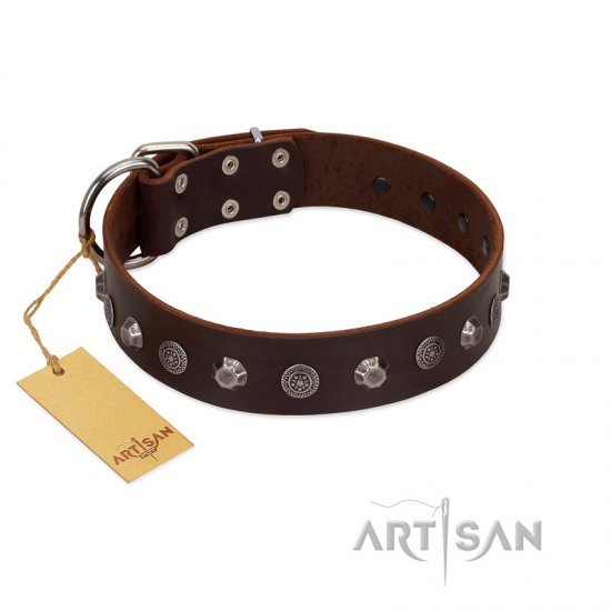 "Dark Chocolate" Handmade FDT Artisan Brown Leather Dog Collar with Studs - Click Image to Close