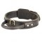 Extra Durable 2 Ply Leather Dog Collar with Handle