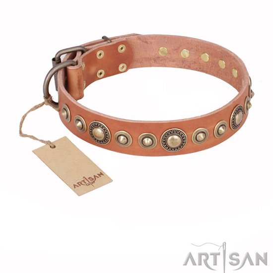 ‘Feast of Luxury’ FDT Artisan Tan Leather Dog Collar with Old Bronze Look Circles - 1 1/2 inch (40 mm) wide