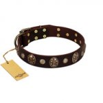 "Snazzy Paws" FDT Artisan Brown Leather Dog Collar Adorned with Conchos and Medallions