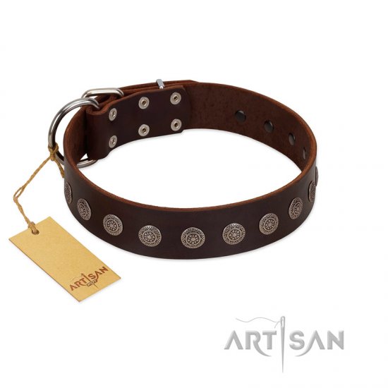 "Starry-Eyed" Best Quality FDT Artisan Brown Designer Dog Collar with Small Plates - Click Image to Close