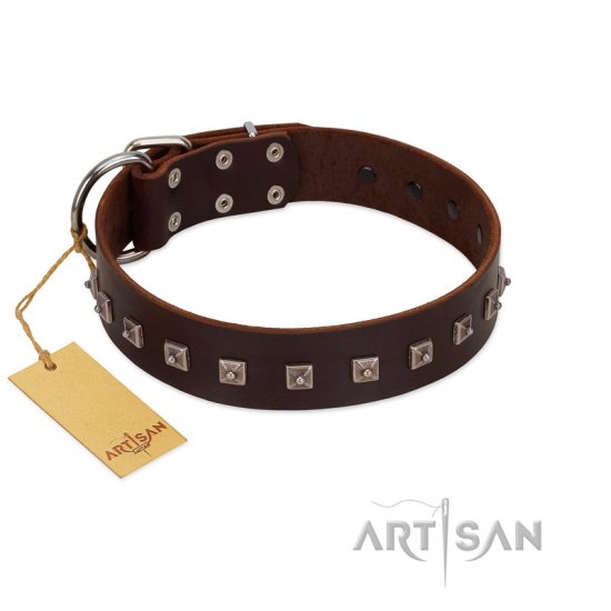 "Kingly Grace" FDT Artisan Brown Leather Dog Collar with Silver-like Dotted Studs - Click Image to Close