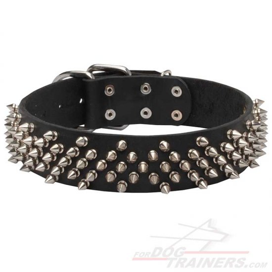 Rhomby Spiked Dog Collar for Stylish Walking - Click Image to Close