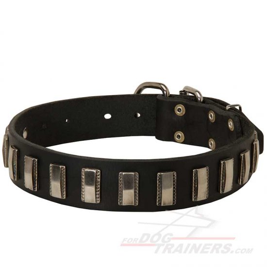 Dazzling Leather Dog Collar with Shiny Plates