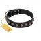 "Bizarre Affection" Designer Handmade FDT Artisan Black Leather Dog Collar