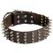 Extra Wide Leather Spiked Dog Collar for Walking