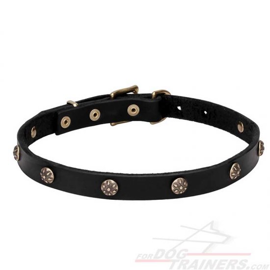 'Cloak and Sword' Leather Dog Collar with Engraved Round Studs - Click Image to Close