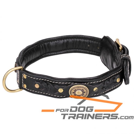 'Pleasant Touch' Nappa Padded Leather Dog Collar with Decorative Elements - Click Image to Close