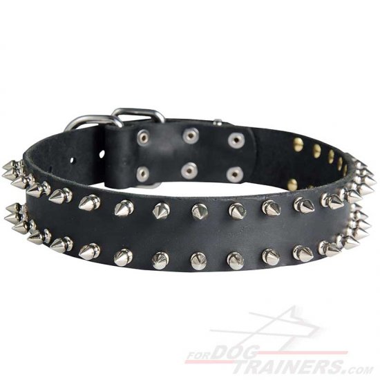 Leather Spiked Dog Collar for Walking