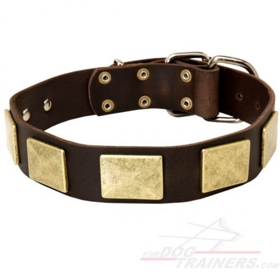 War Style Leather Dog Collar Decorated with Rustless Plates - Click Image to Close