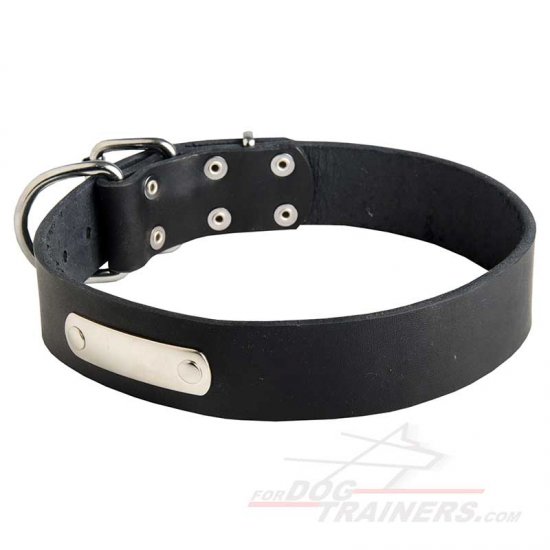 Leather Dog Collar with ID Tag for Training and Walking - Click Image to Close