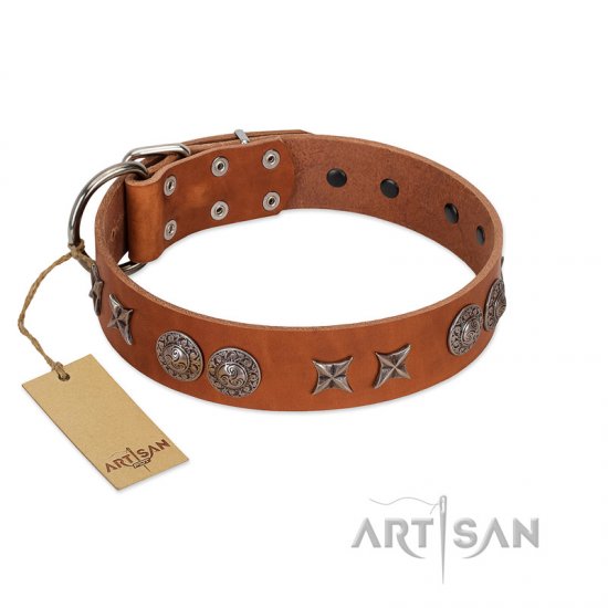 "Splendid Armor" Premium Quality FDT Artisan Tan Designer Dog Collar with Shields and Stars - Click Image to Close