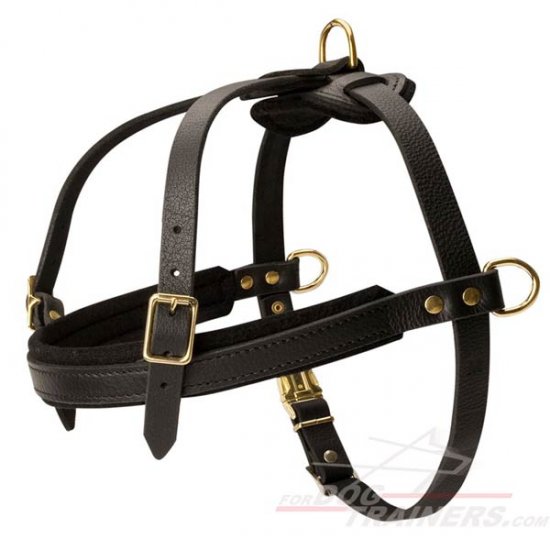 Comfortable Dog Harness for Pulling, Tracking and Walking - Click Image to Close