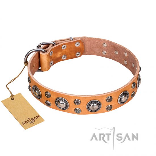 ‘Extra Sparkle’ FDT Artisan Handcrafted Tan Leather Dog Collar