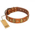 "Crystal Sand" FDT Artisan Tan Leather Collar with Vintage Looking Oval and Round Studs