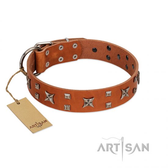 "Faraway Galaxy" FDT Artisan Tan Leather Dog Collar Adorned with Stars and Squares