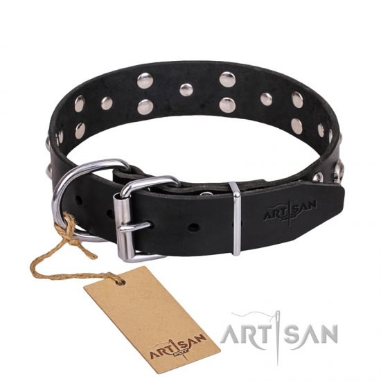 FDT Artisan 'Mystic Skulls' Decorated Leather Dog Collar with Skulls and Studs 1 1/2 inch (40 mm)