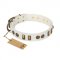 'Midsummer Snow' FDT Artisan White Leather Dog Collar with Old Bronze-like Plates and Circles - 1 1/2 inch (40 mm) wide