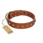 "Dogue-Vogue" FDT Artisan Tan Leather Dog Collar with Engraved Chrome-plated Studs