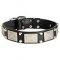 'Hot Decor' Leather Dog Collar with Plates and Studs