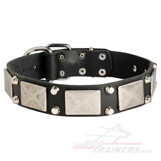 'Hot Decor' Leather Dog Collar with Plates and Studs