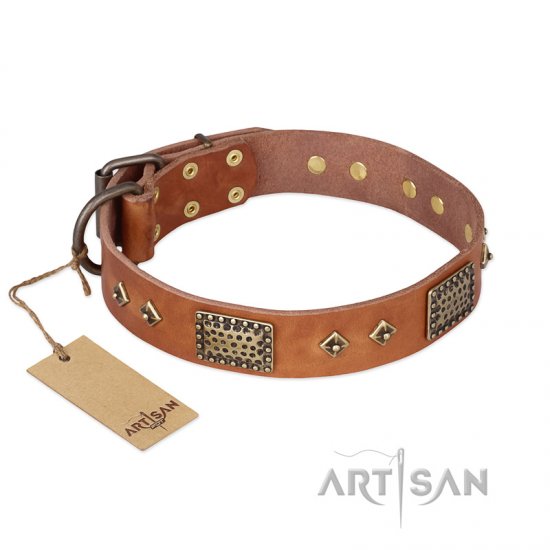 ‘Catchy Look’ FDT Artisan Decorated Tan Leather Dog Collar - Click Image to Close